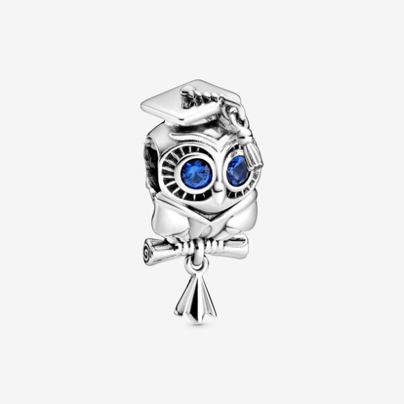 Wise Owl Graduation Charm Pandora Australia