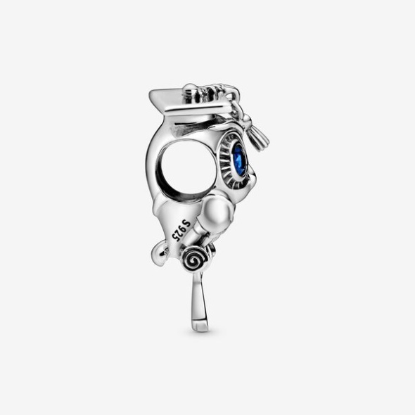 Wise Owl Graduation Charm Pandora Australia