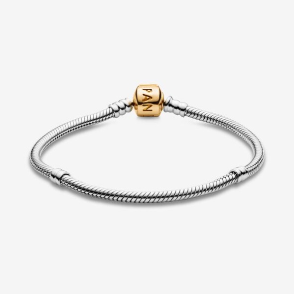 Pandora Australia Moments Snake Chain Bracelet-Final Sale Two-Tone