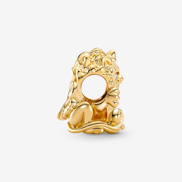 Chinese Fortune Pixiu Charm Pandora Australia