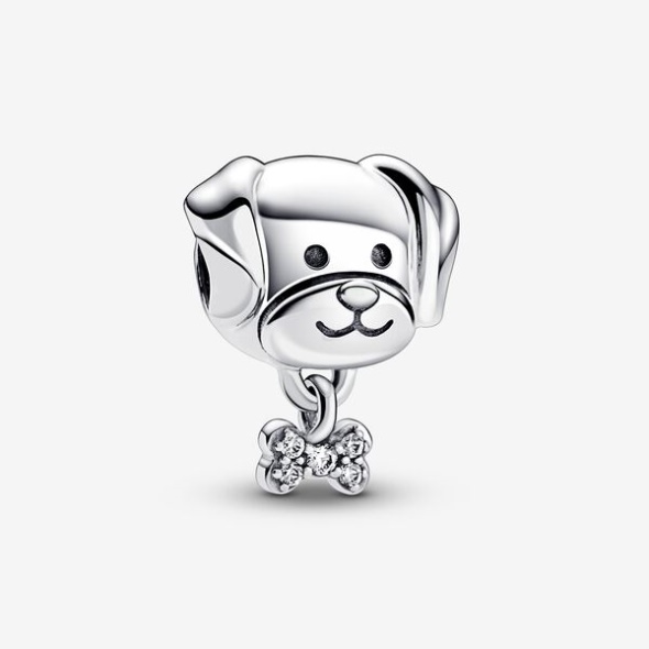 Pet Dog Bone Charm Pandora Australia