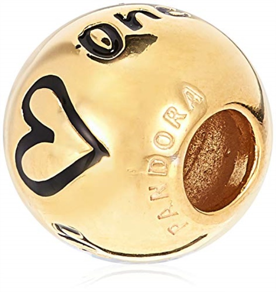 PANDORA Pandora True Uniqueness Two Tone One Size Charm